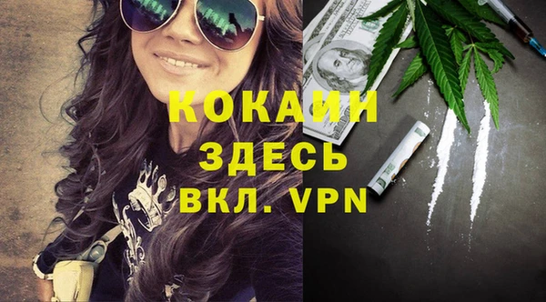 гидра Кинешма
