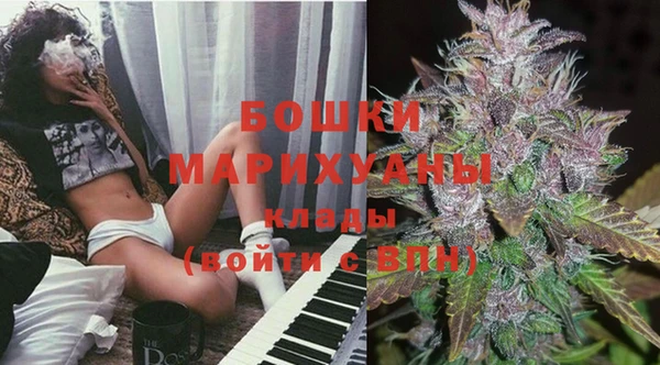 гидра Кинешма