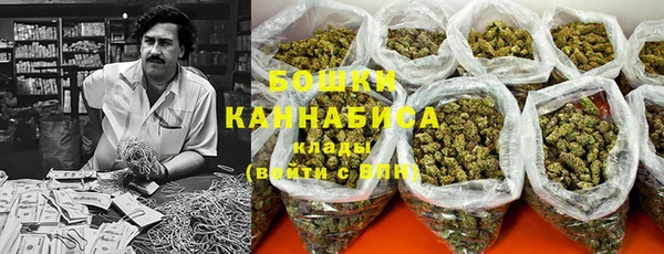 гидра Кинешма