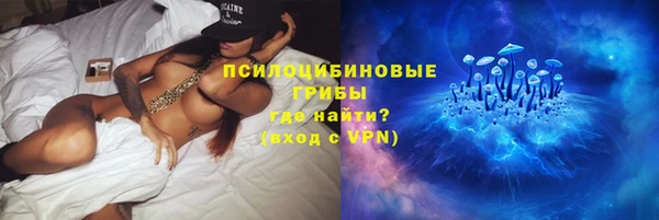apvp Козельск