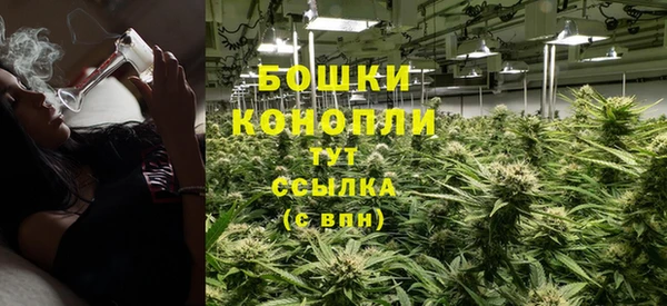 гидра Кинешма